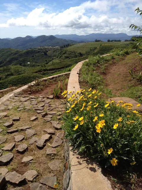 Puncak Kebun Teh Malino