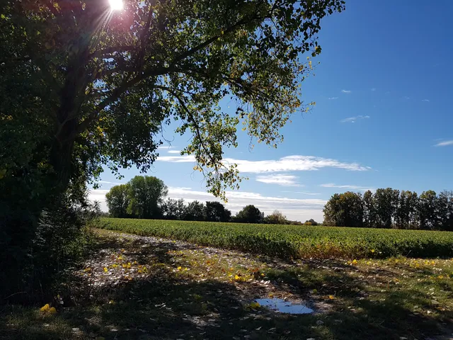 Bacino di laminazione ''Prà dei Gai'' sul fiume Livenza