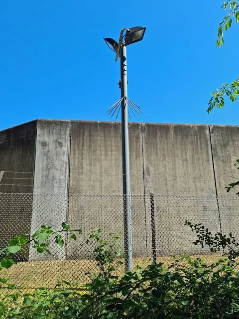 McCoppin Square Park