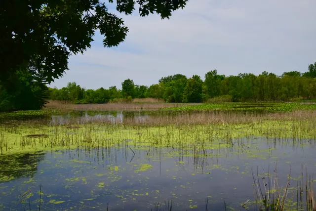 Sheldon Marsh State Nature Preserve