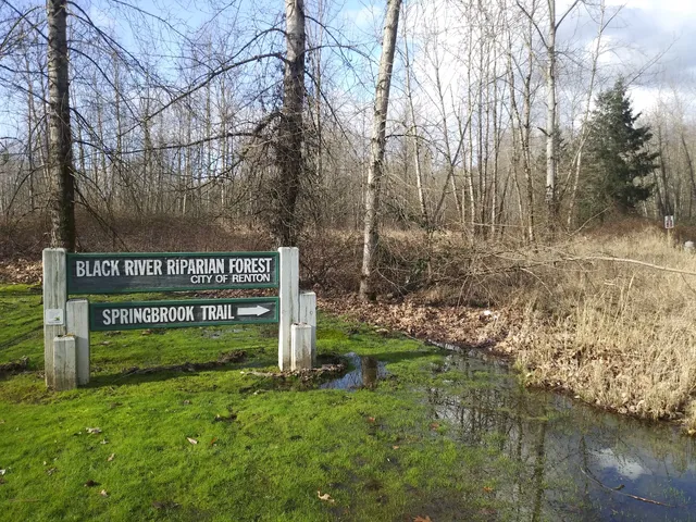 Black River Riparian Forest and Wetland