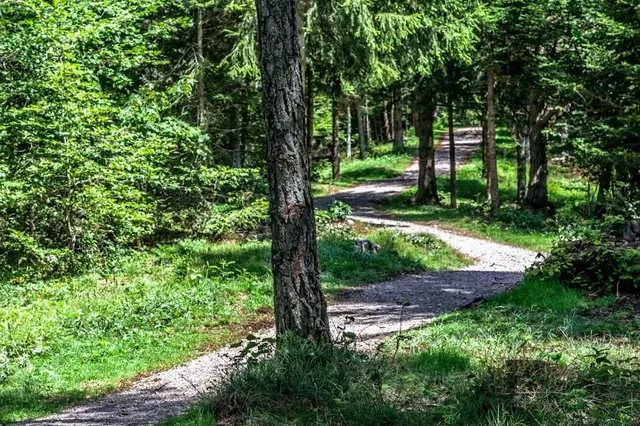 Parco SCIURY - Ingresso Molveno