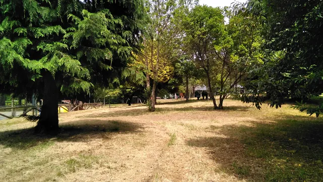 Área Recreativa Folgueiróu