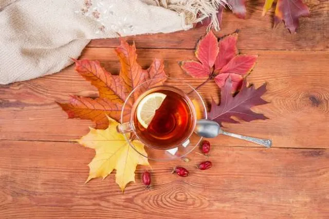 Tordasi Holiday Village