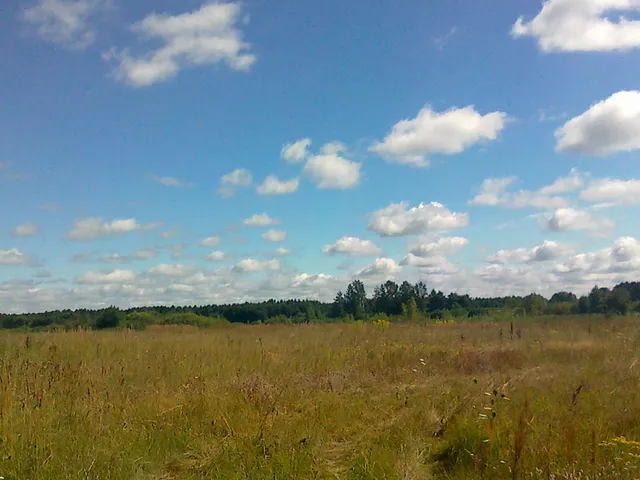 Rezerwat Bagno Serebryskie