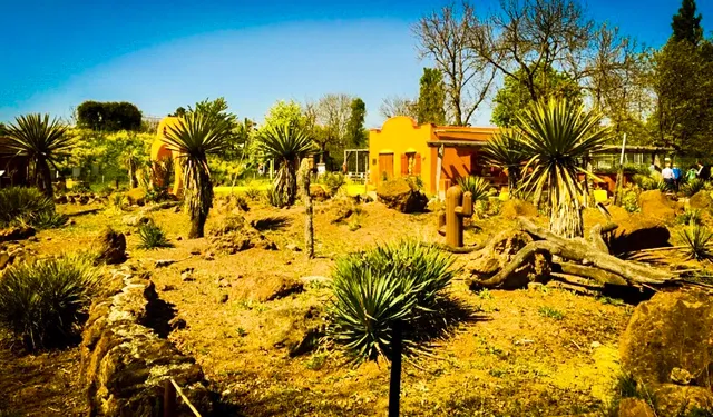 Mexikanischer Garten