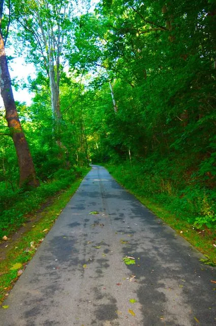 Struble Trail- Uwchlan Trailhead