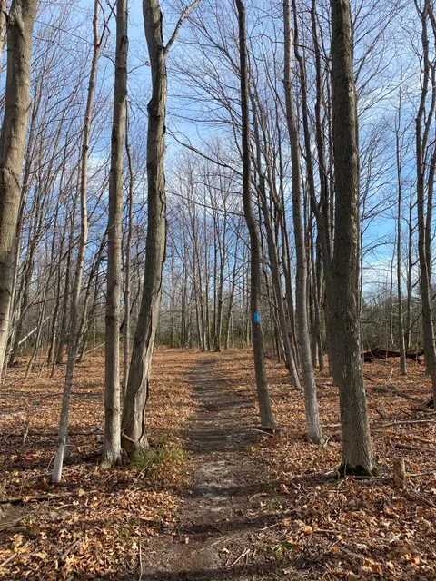 Lighthouse West Natural Area: Leelanau Conservancy