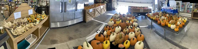 Prairie Produce and Pumpkin Patch