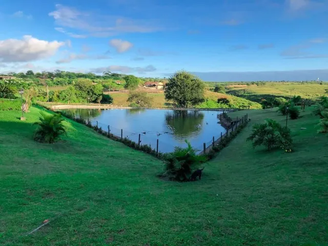 Winterville Gravatá Flat 1011