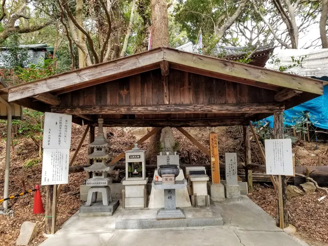 photo-1