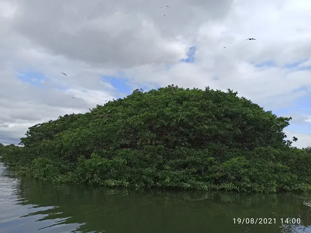 REFUGIO DE VIDA SILVESTRE MANGLARES ESTUARIO RIO ESMERALDAS