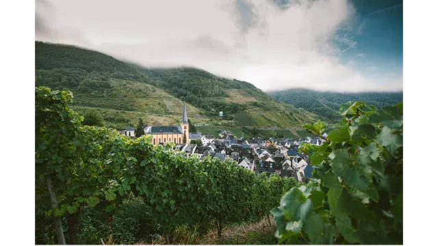 Weinmuseum Schlagkamp-Desoye GmbH