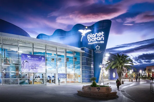 Planet Ocean World