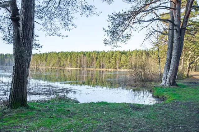 Ninieris (Niniera ezers)