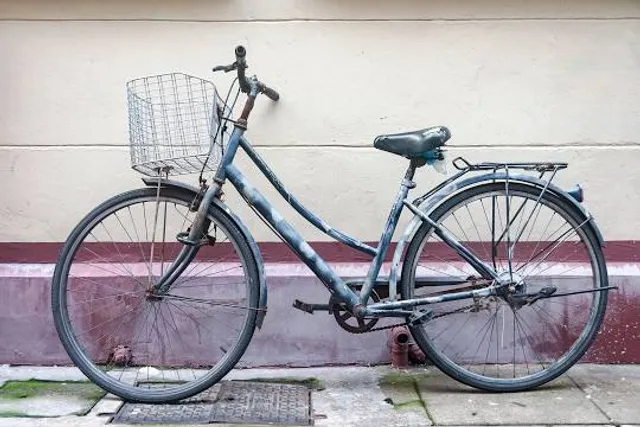 Боева дача, парк