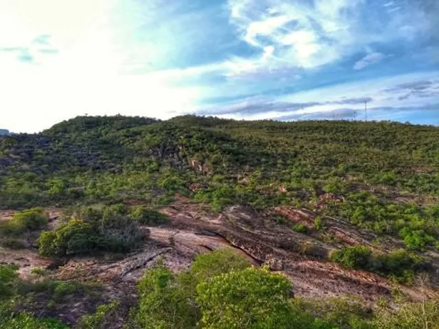 Parque Municipal da Muritiba