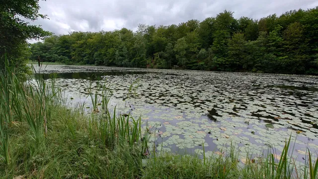 place image
