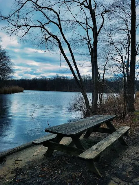 Lums Pond State Park