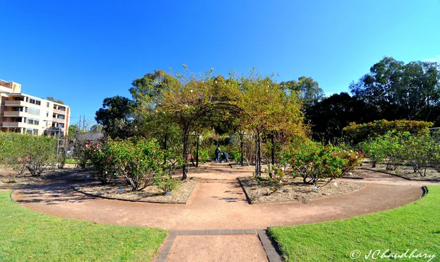 Rumsey Rose Garden