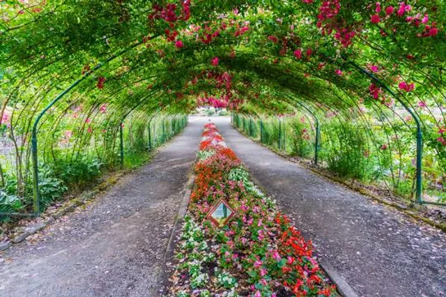 Cziraky Margit Rózsakert