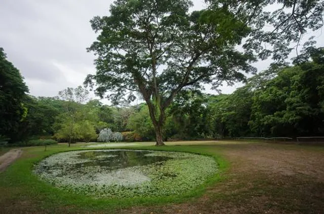 Exotic Tropical Flora Park