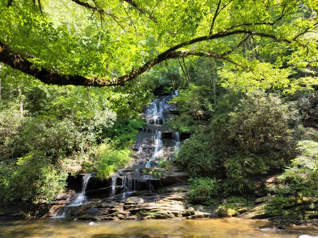 Tom Branch Falls