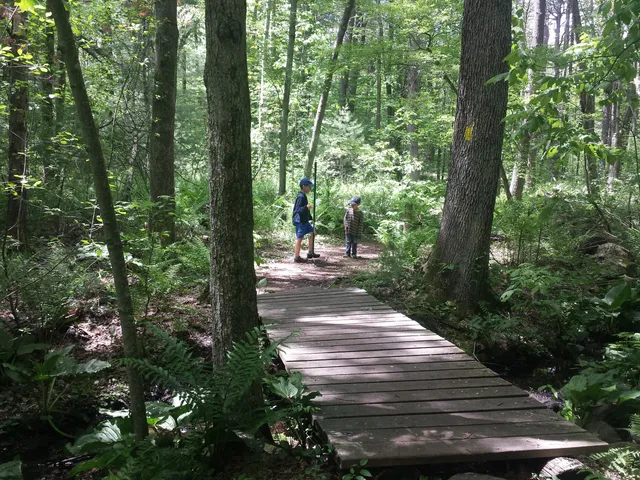 Pratts Brook Conservation Area