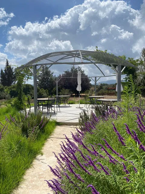 Galil Mountain Winery