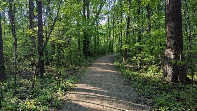 Devonwood Conservation Area