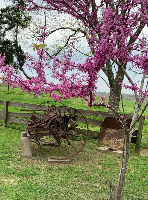 The Hoffmann Vacation Rental Bed & Breakfast