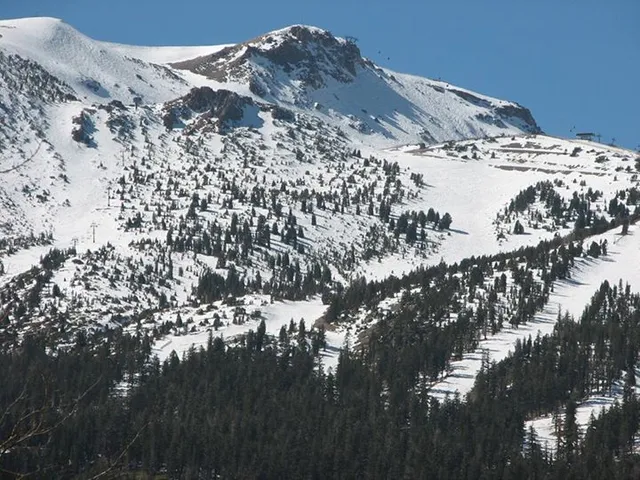 Mammoth Mountain Snowman Report