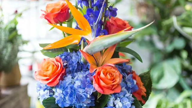 Dallas Flora Same Day Flower Delivery