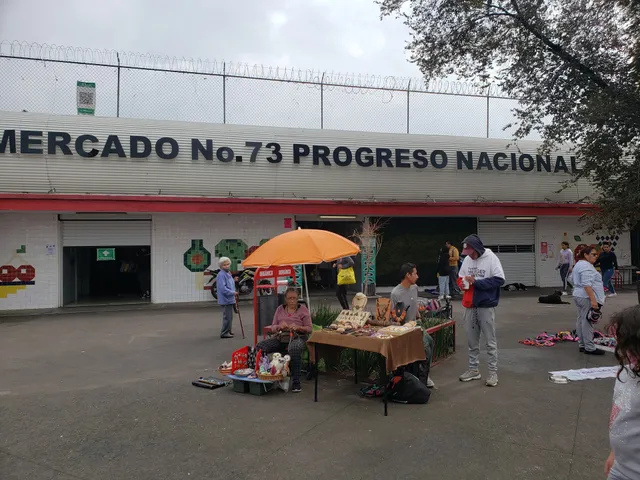 Tianguis De La Progreso