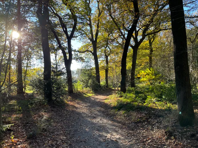 Oranjewoud parkeer en wandel
