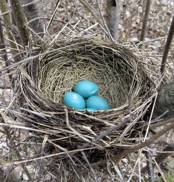 Bunker Interpretive Center