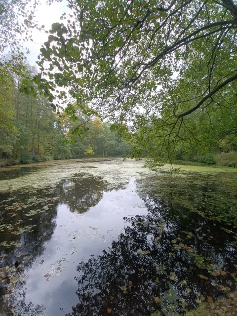 Hutewald Solling - Eingang West