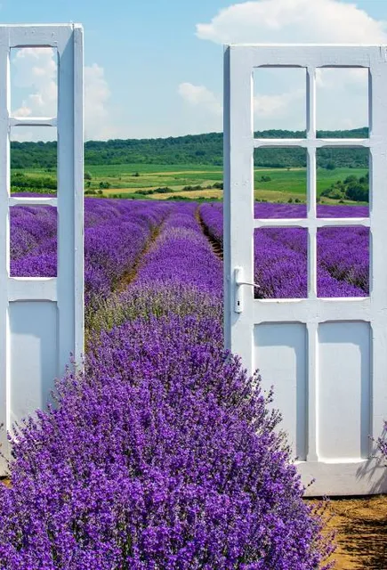 Fredholm hageopplevelser