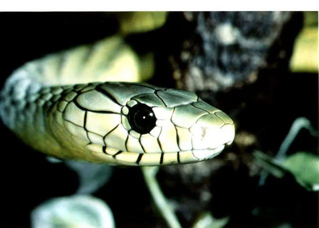 Reptilienhaus/Zoo Oberammergau