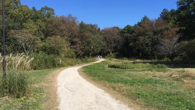 ウシクシゼンカンサツノモリ