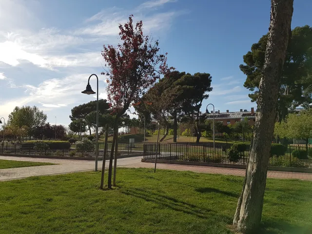 Municipal Nicolás Fúster Park