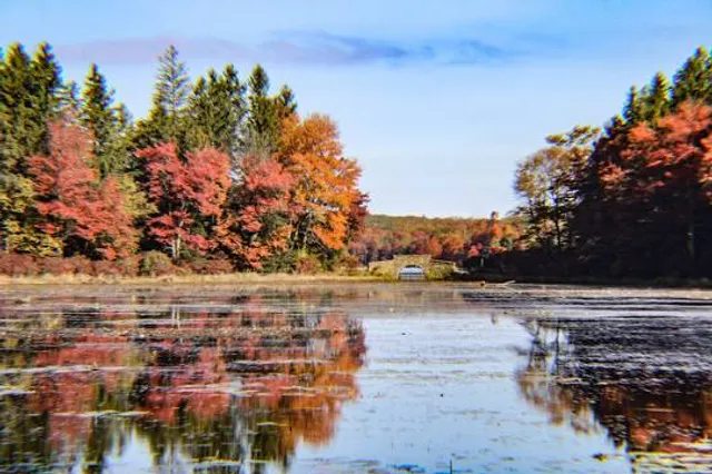 Promised Land State Park