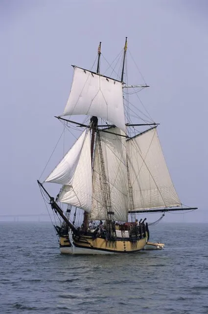 Sultana Education Foundation