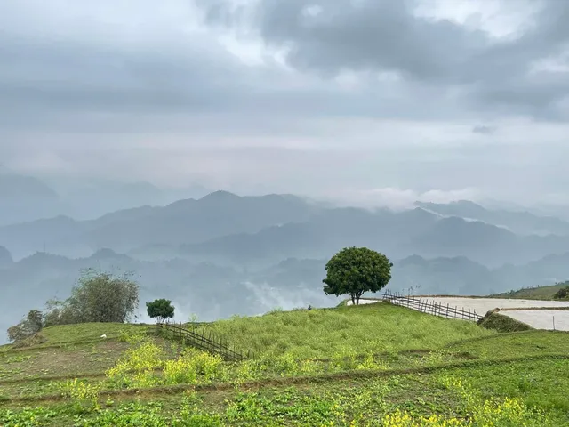 place image