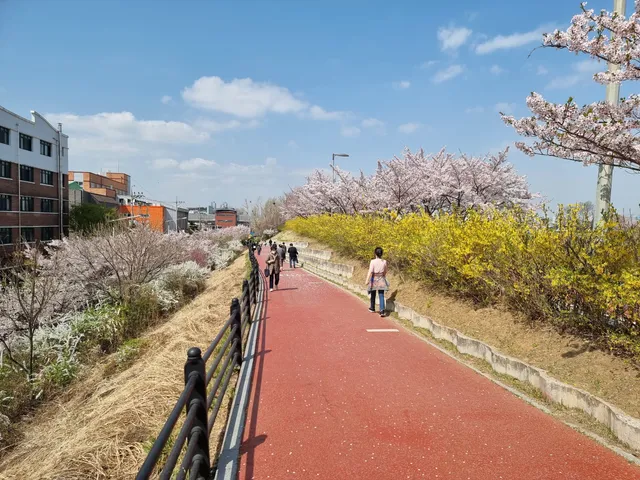 Songpa Dullegil Walking trails