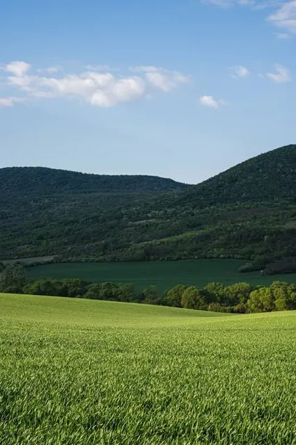 Buda Landscape Protection Area