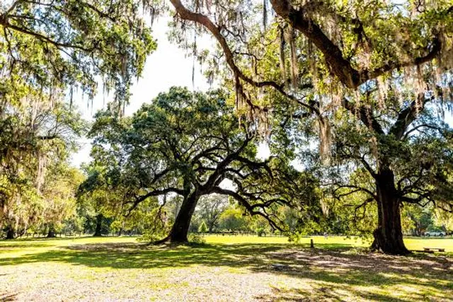 Audubon Park