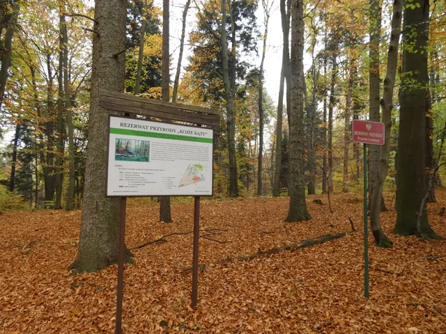 Rezerwat przyrody Kozie Kąty