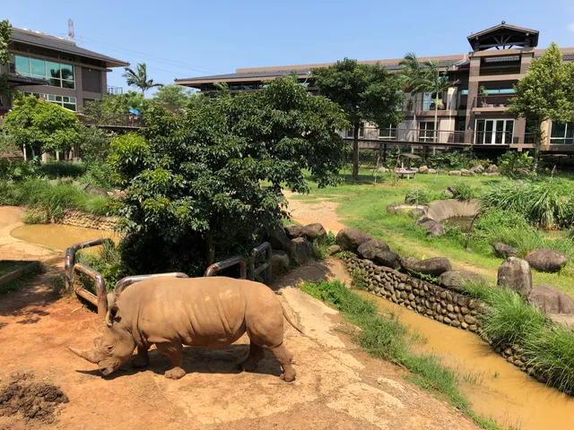 Zoo (Leofoo Resort Guanshi)