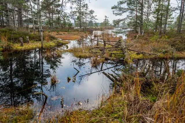 Kamanu valstybinio gamtinio rezervato direkcija